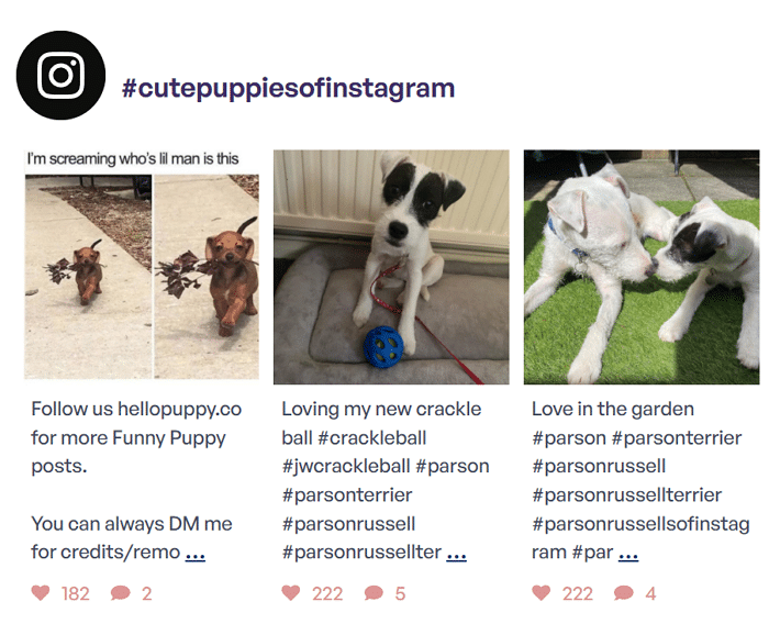 Un feed Instagram per una campagna hashtag incorporata in WordPress