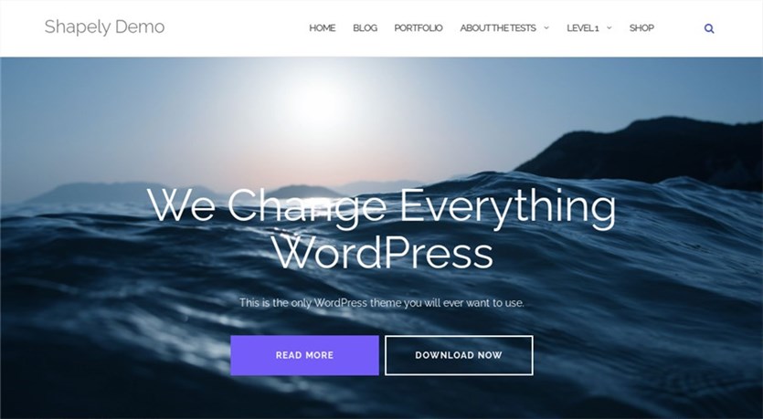 WordPress 초보자를 위한 매끈한 최고의 테마