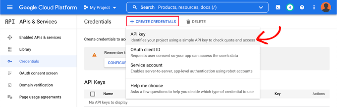 Click the ‘+ Create Credentials’ Button