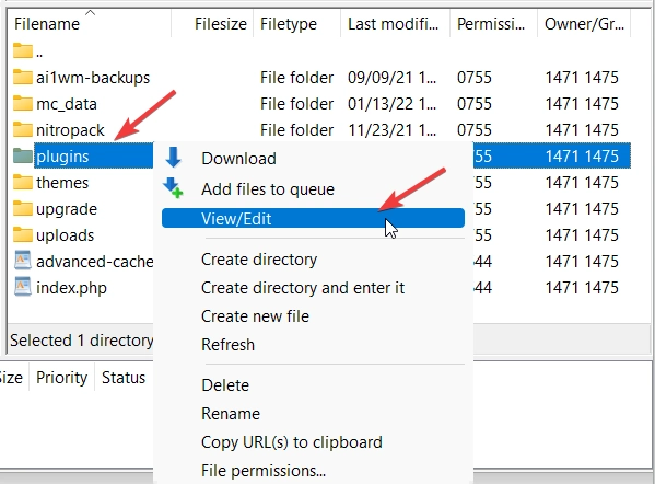 editarea folderului de pluginuri