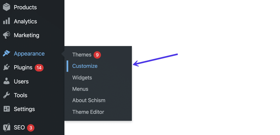 Take the copied shortcode and go to the Customize tab in WordPress