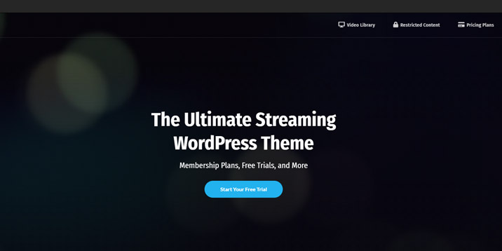 Vayvo WordPress-Theme