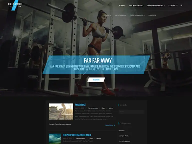 Tema gratuito per la palestra di Wordpress di Icesport