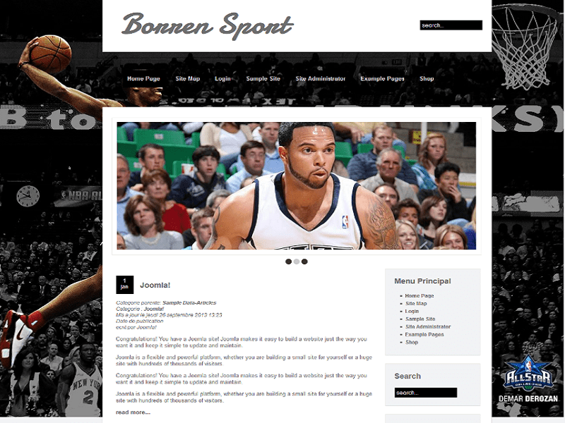 Borren Sport – 免費 Joomla 模板籃球