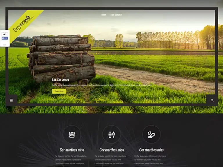 Organicweb Kostenloses Wordpress-Theme