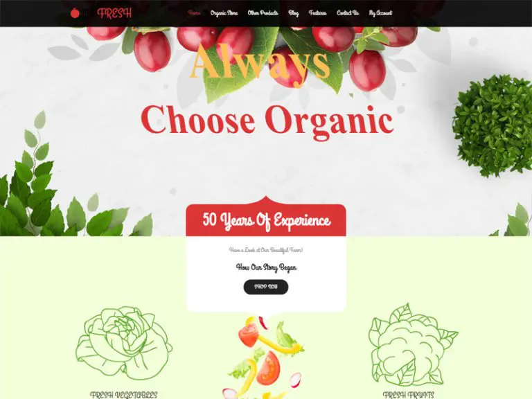 Ws Fresh Tema gratuită Wordpress Woocommerce pentru magazinul de agricultură