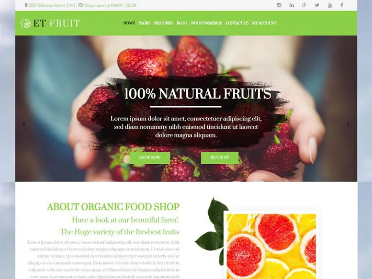 Et Fruit Thème WordPress responsive gratuit pour les aliments biologiques