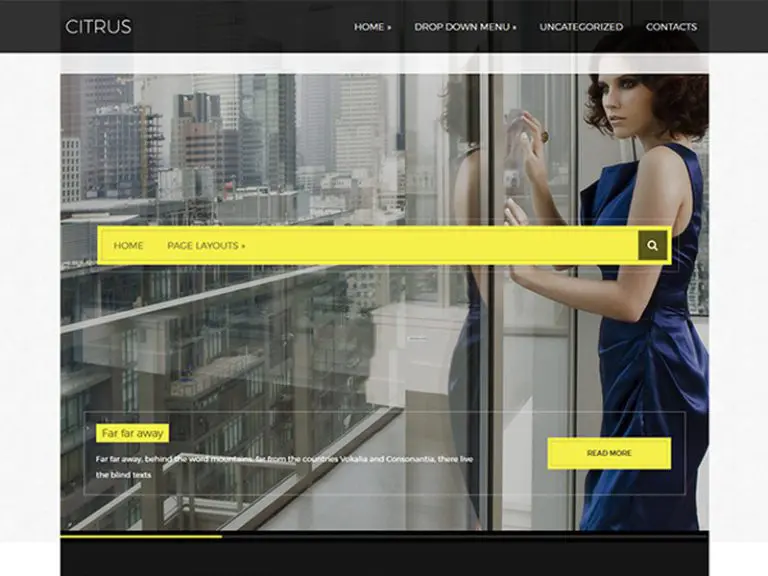 Tema Wordpress Jeruk Gratis Untuk Fashion