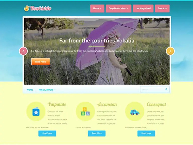 Tema Wordpress gratuito Newkiddo per Baby Shop