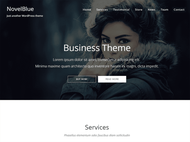 Thème Wordpress de blog gratuit Novelblue