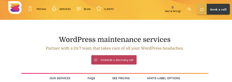 WP Buffs WordPress planos de cuidados