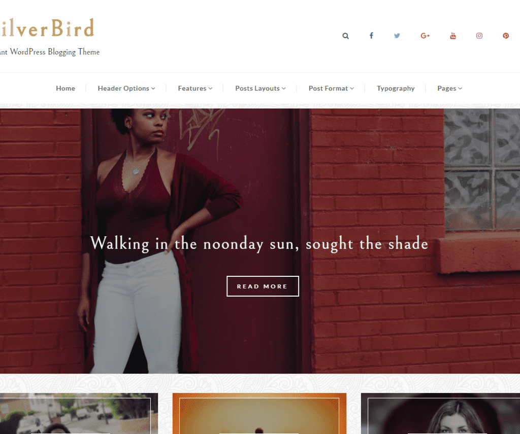 Silverbird 免费假日 Wordpress 主题