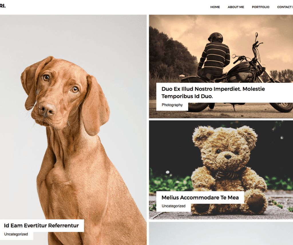 Adri Free Photography Wordpress-Thema