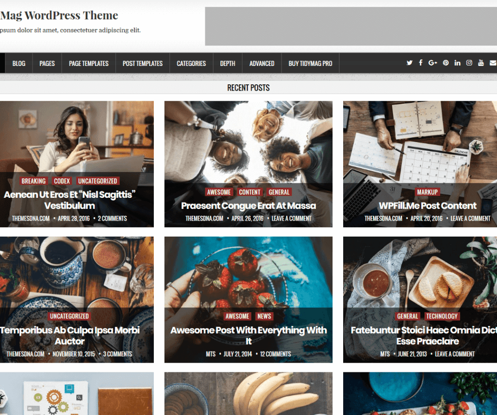 Tidymag Tema Wordpress Fotografi Gratis