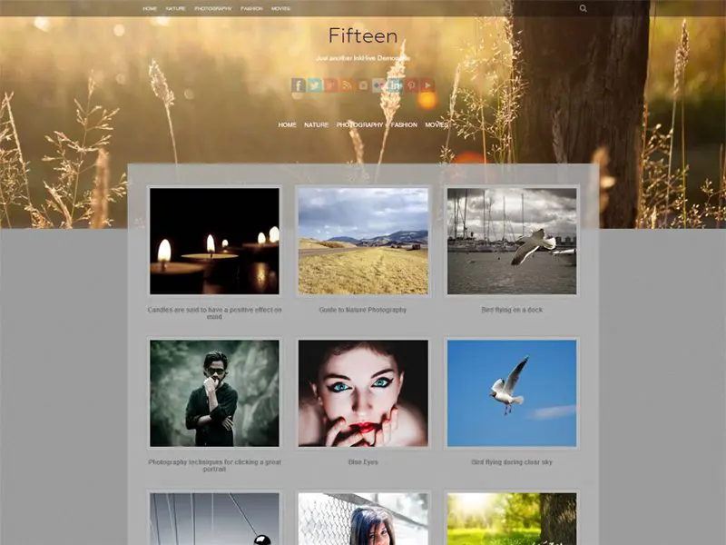 Fünfzehn kostenlose Wordpress-Themes