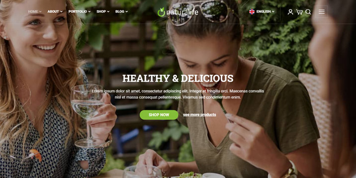 naturallife-theme-WordPress-theme