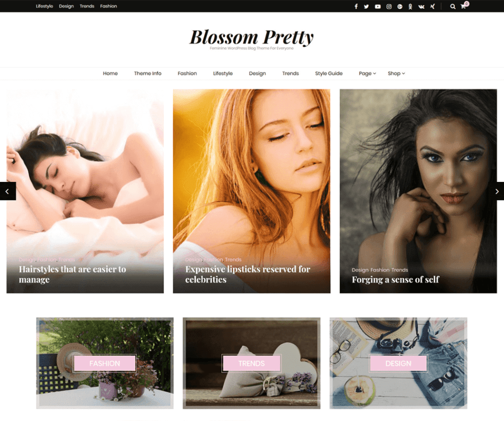 Blossom Pretty Fotografía gratis Tema de Wordpress