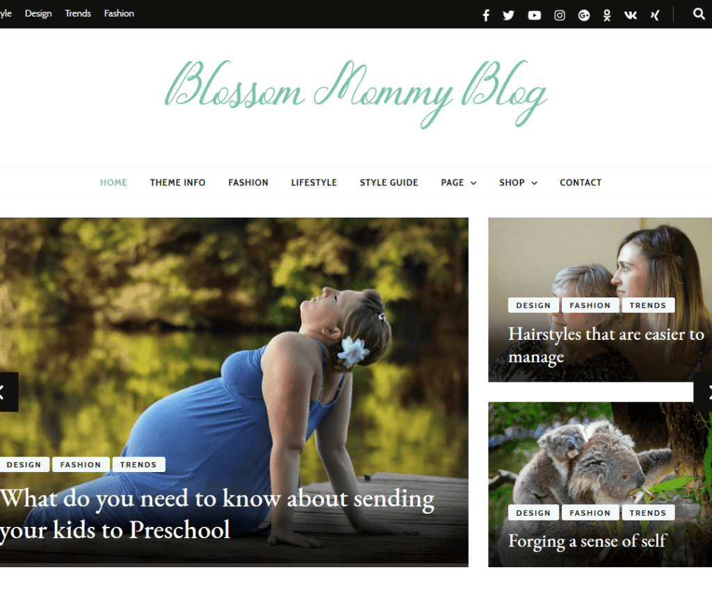 Blossom Mommy Blog Free Photography Wordpress Theme