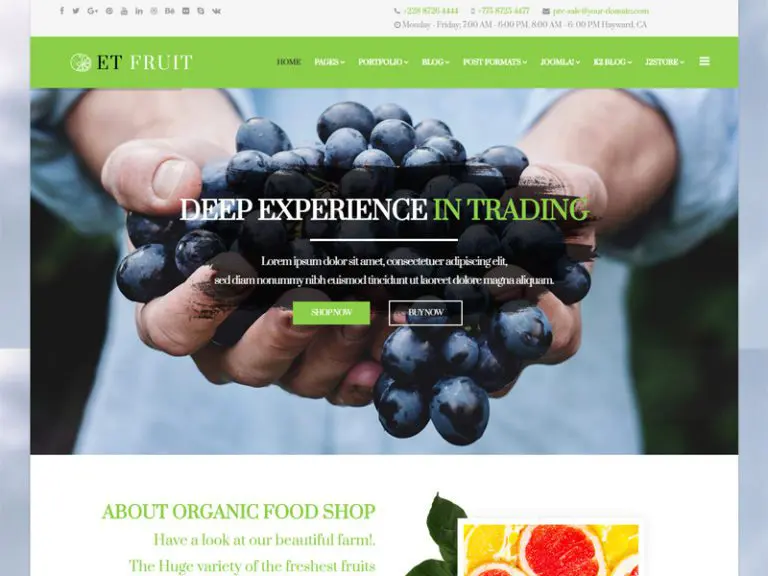 Et Fruit Free Joomla Organic Food Template