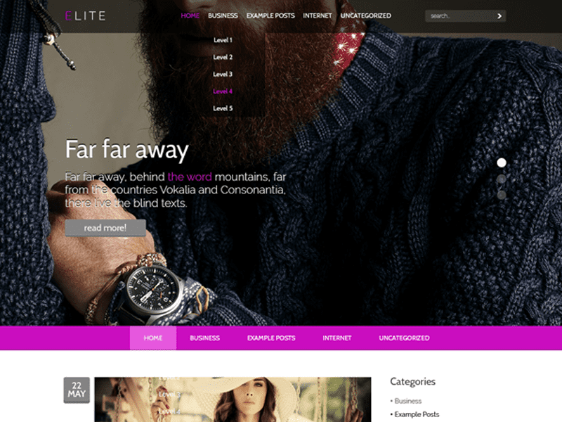 Elite Fashion Wordpress Kostenloses Theme