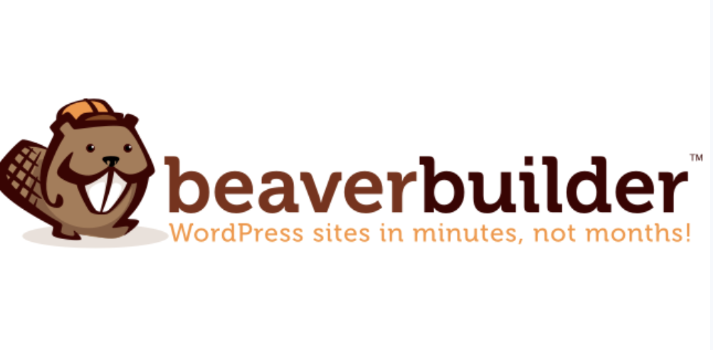 Beaver Builder vs. Divi - Cons