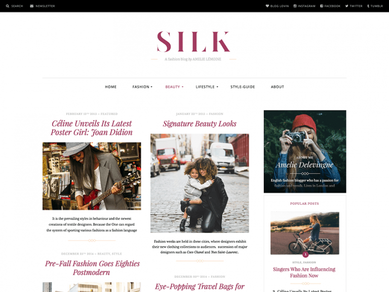 Tema Wordpress de entretenimento gratuito Silk Lite