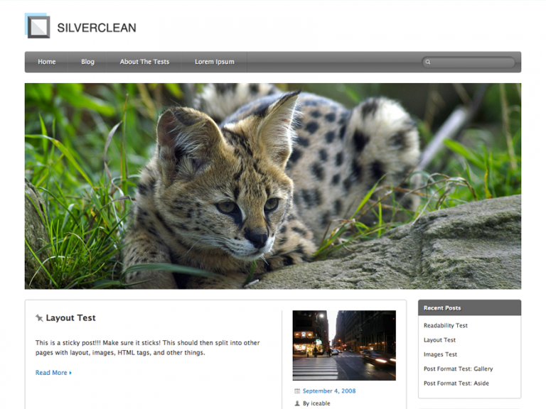 ธีม Wordpress ความบันเทิง Silverclean Lite ฟรี