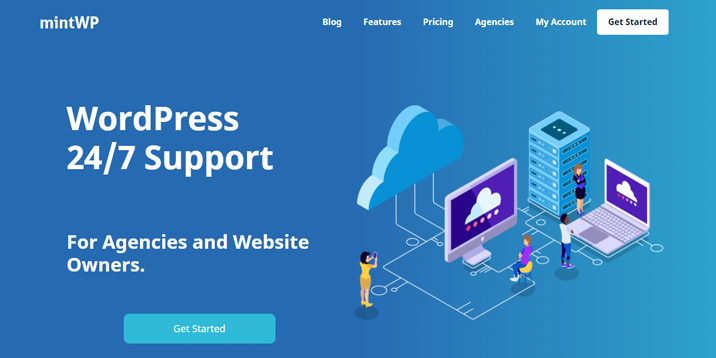 MintWP-WordPress-maintenance