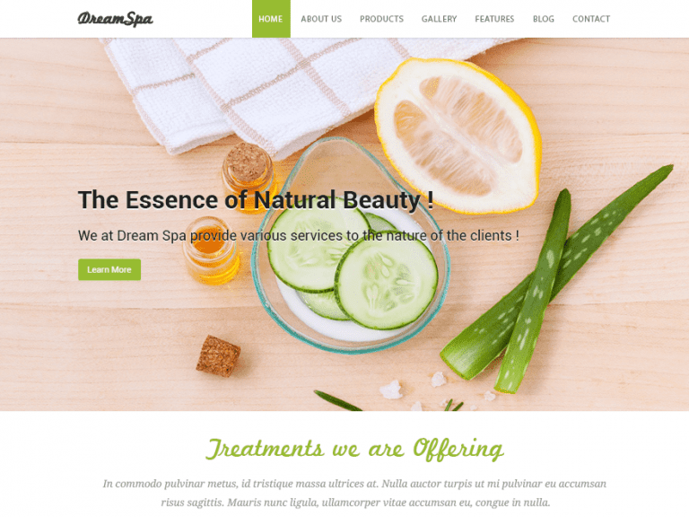 Dream Spa Ücretsiz Fotoğrafçılık Wordpress Teması