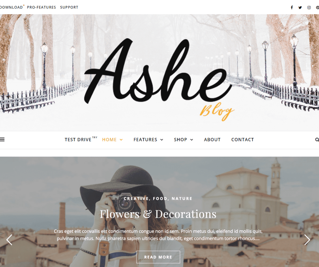 ธีม Wordpress อาหารและเครื่องดื่มฟรี Ashe