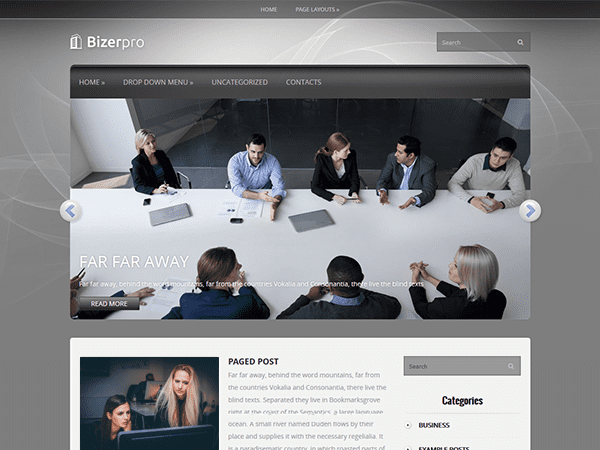 Bizerpro Kostenloses Business-Wordpress-Thema