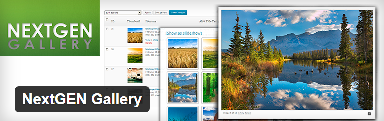 NextGEN Gallery gratuit Plugins WordPress les plus populaires