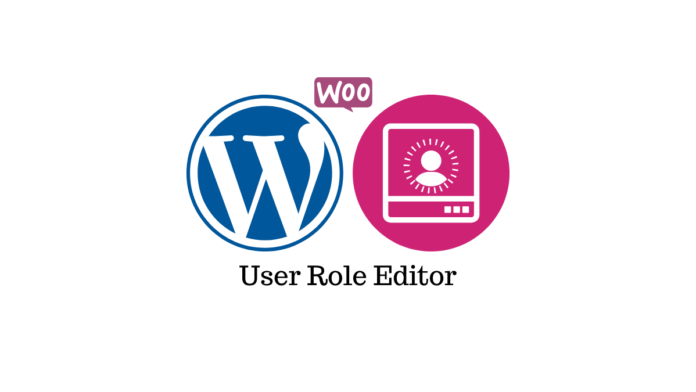 banner image for user role editor article