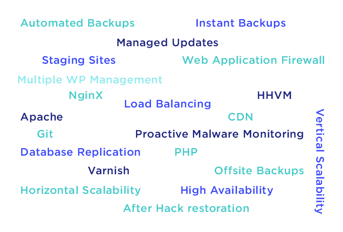 управляемый хостинг wordpress: модные словечки