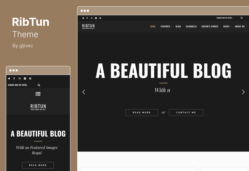 Tema RibTun - Tema blog WordPress pentru scriitori