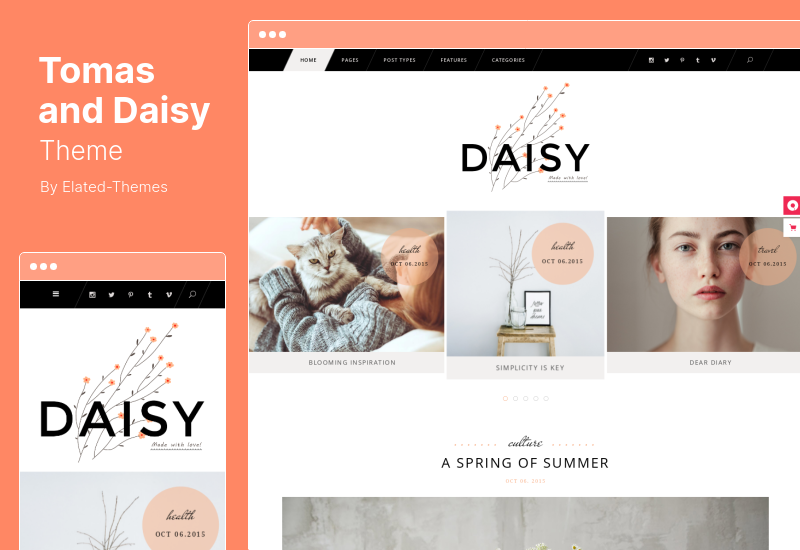 Tema Tomas și Daisy - Tema WordPress pentru blog personal