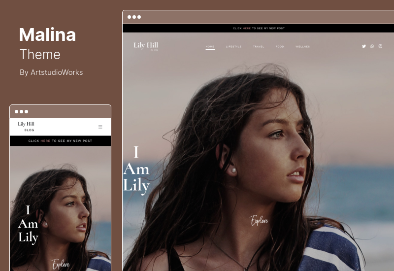 ธีม Malina - ธีมบล็อก WordPress ส่วนบุคคล