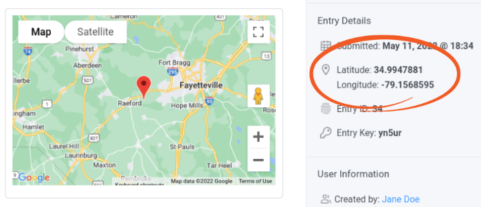 Data geolokasi di bawah Detail entri formulir.
