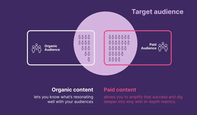 Contenido orgánico vs publicidad paga en TikTok