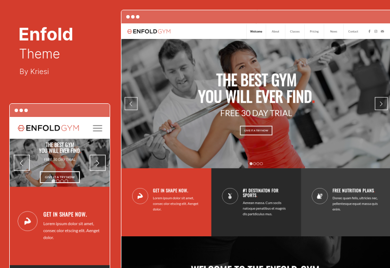 Enfold Theme - Tema WordPress multifuncional responsivo