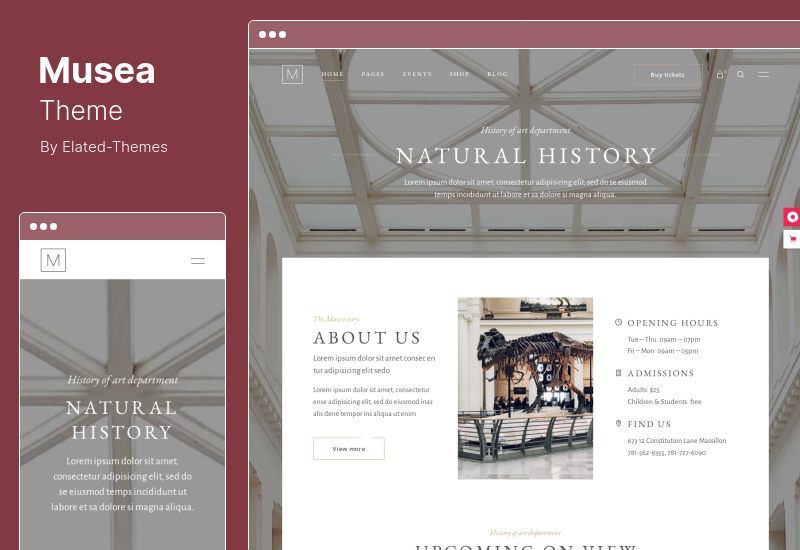 Musea Theme - WordPress Theme für Kunstgalerien und Museen