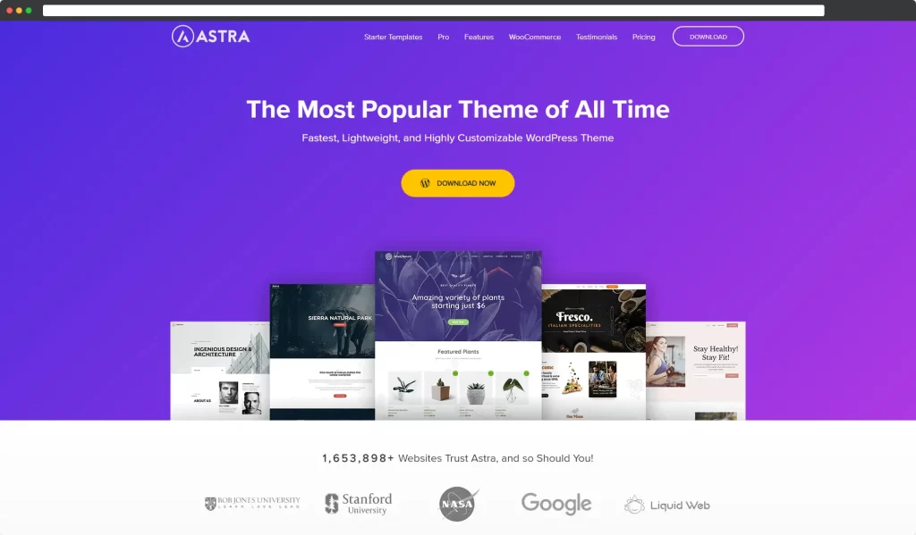 Astra - Tema WordPress Terlaris