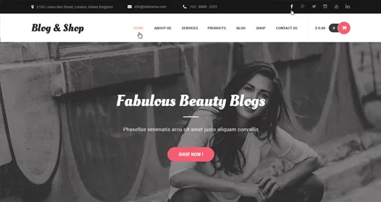 blog tienda wordPress temas