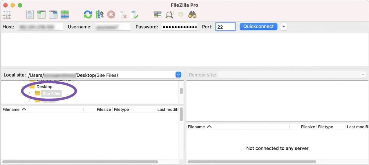 znajdowanie plików witryny przez filezilla