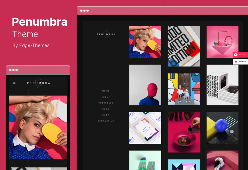 Тема Penumbra — Портфолио дизайна MultiConcept WordPressTheme