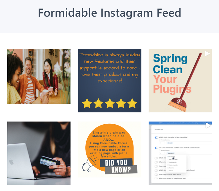 Предварительный просмотр сетки ленты Instagram Formidable Forms