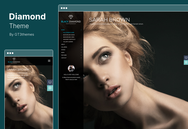 Diamond Theme — тема WordPress для портфолио фотографий