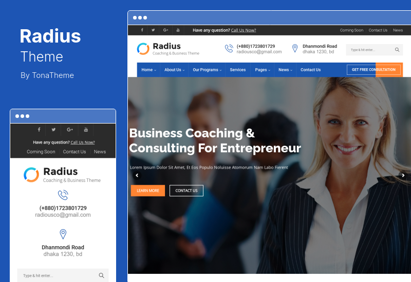 Tema Radius - Tema WordPress pentru instruire în afaceri