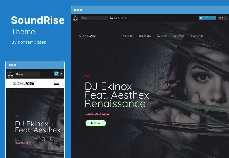 SoundRise Theme - Artis, Produser Label Rekaman Tema WordPress