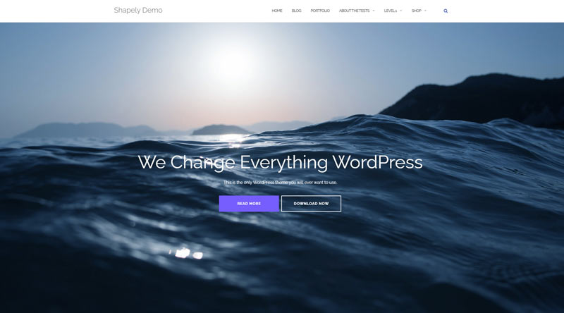 Shapely WordPress Theme